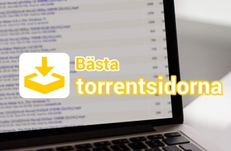 De 15 bästa torrentsidorna 2019